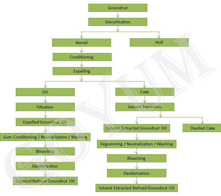 Schéma de flux du processus de fabrication de l’huile d’arachide