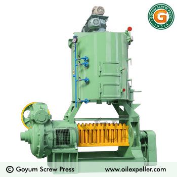 Moringa Seed Oil Press Machine