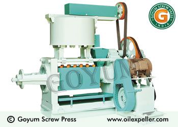 Small Scale Copra Oil Press Machine
