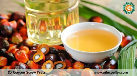 Usine de raffinage d’huile de palme