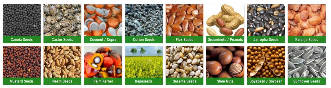 seed cleaning machine for  seeds