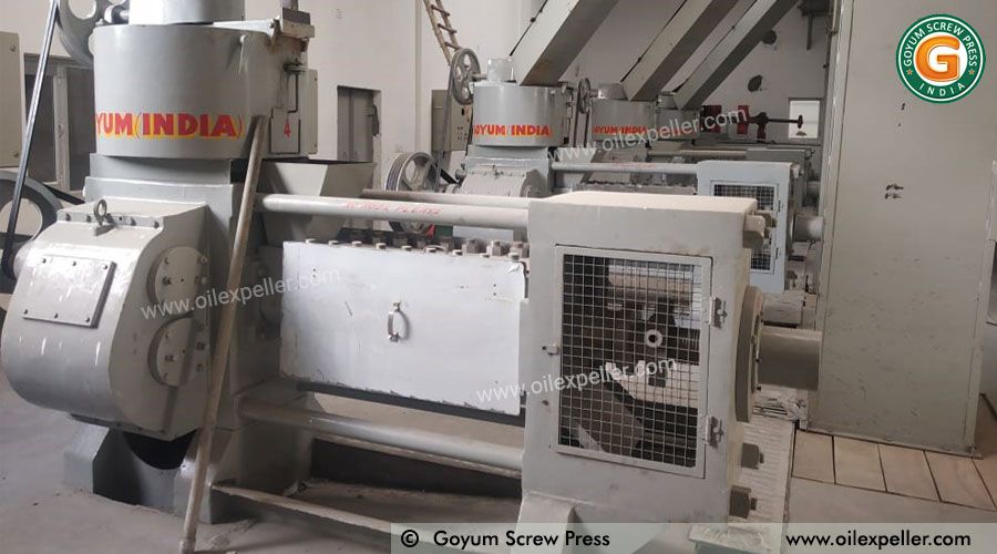 Comment démarrer une entreprise de production d’huile de moutarde