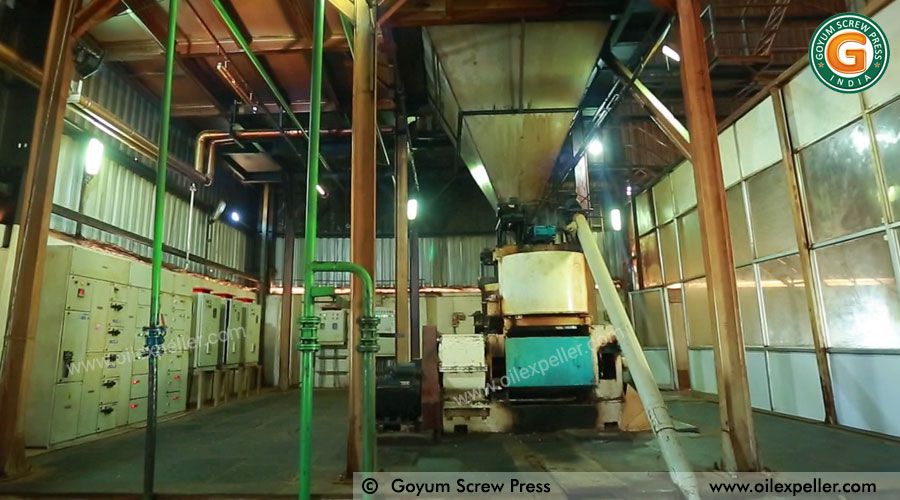 Démarrer une entreprise de production d’huile de coco