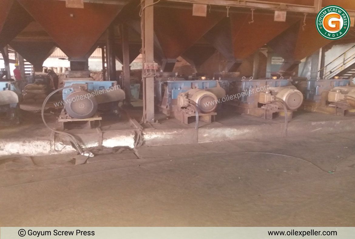 Palm Oil Pressing Machine