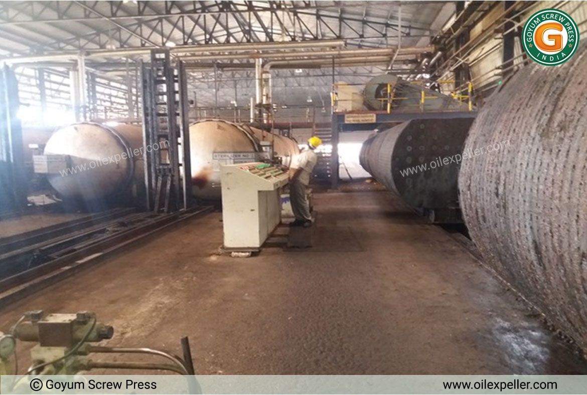 Steam Sterilization of Bunches