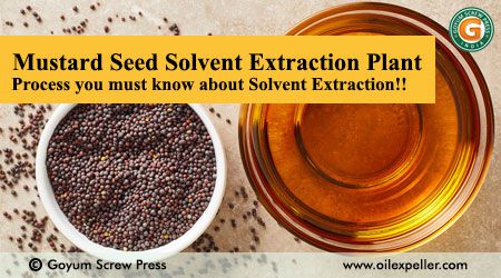 Usine d’extraction de moutarde / canola / colza par solvant