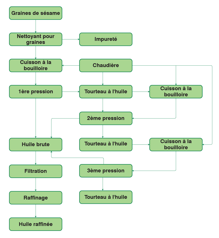 Diagramme de flux du processus de fabrication d'une usine de transformation d'huile de sésame