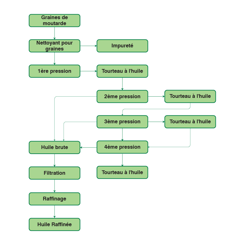 Organigramme du procédé de l’usine d’extraction d’huile de moutarde